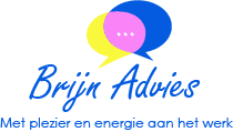 Logo Brijn Advies